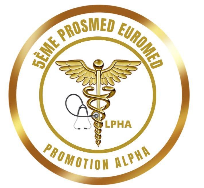 Cérémonie de remise de parchemin promotion Alpha
